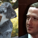 Image for article titled Just 53 People Used the App That Let Cambridge Analytica Swipe Data From Up to 311,127 Australians